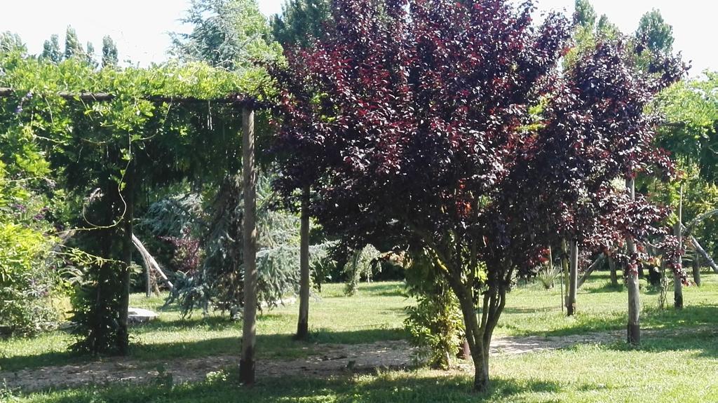 Tenuta Le Pantanelle Sezze Exterior foto