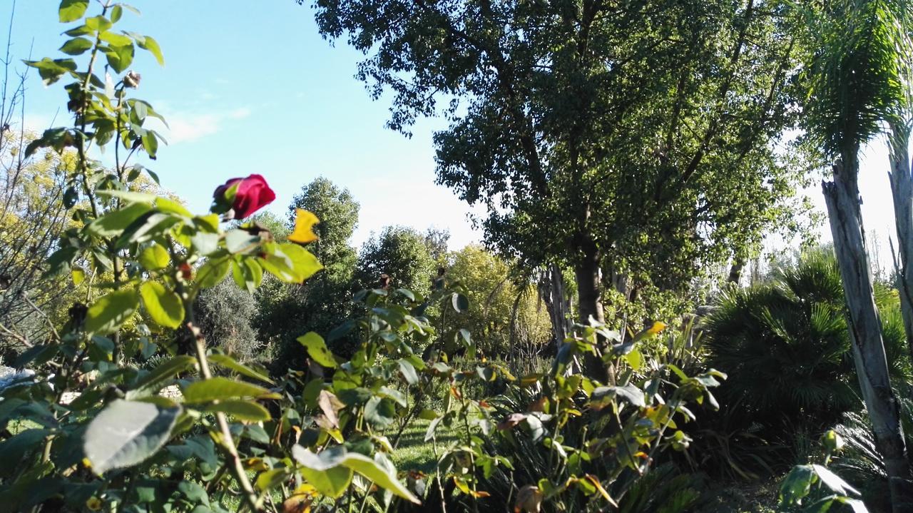 Tenuta Le Pantanelle Sezze Exterior foto